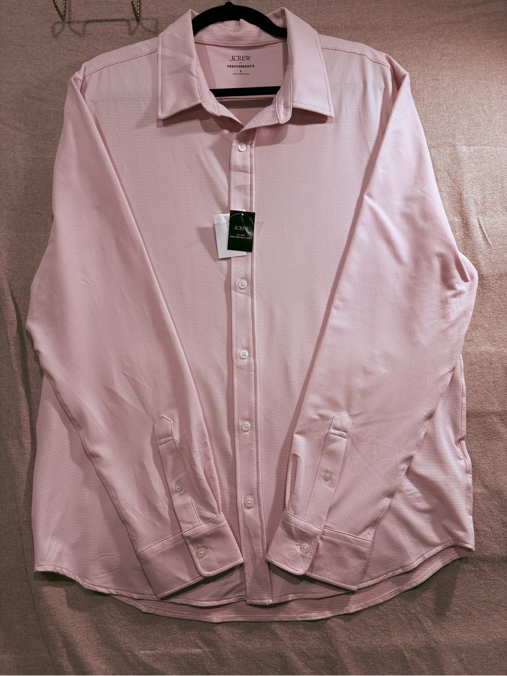NWT J.Crew Light Pink Men's Long-Sleeve Button-Down Shirt. Mint condition.  Larg